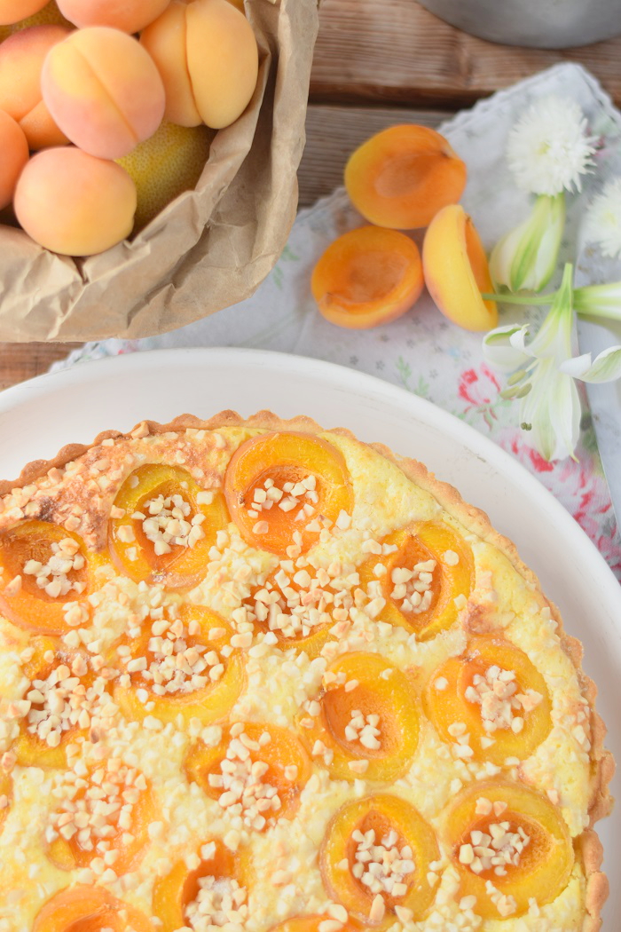 Aprikosen Joghurt Tarte 8 ⋆ Knusperstübchen