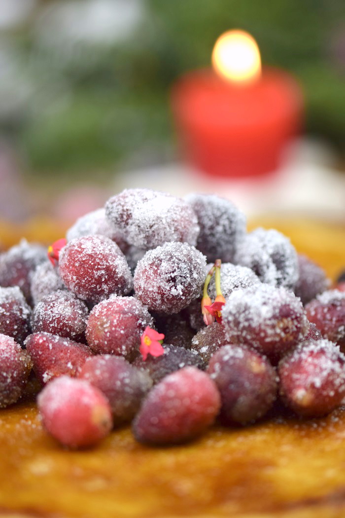 Zimt Brulee Tarte mit Honig und gezuckerten Cranberries (11)