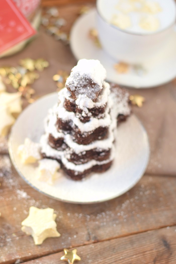 Schokokuchen mit Lieblingsschokolade und Zimt Marshmallows (6)