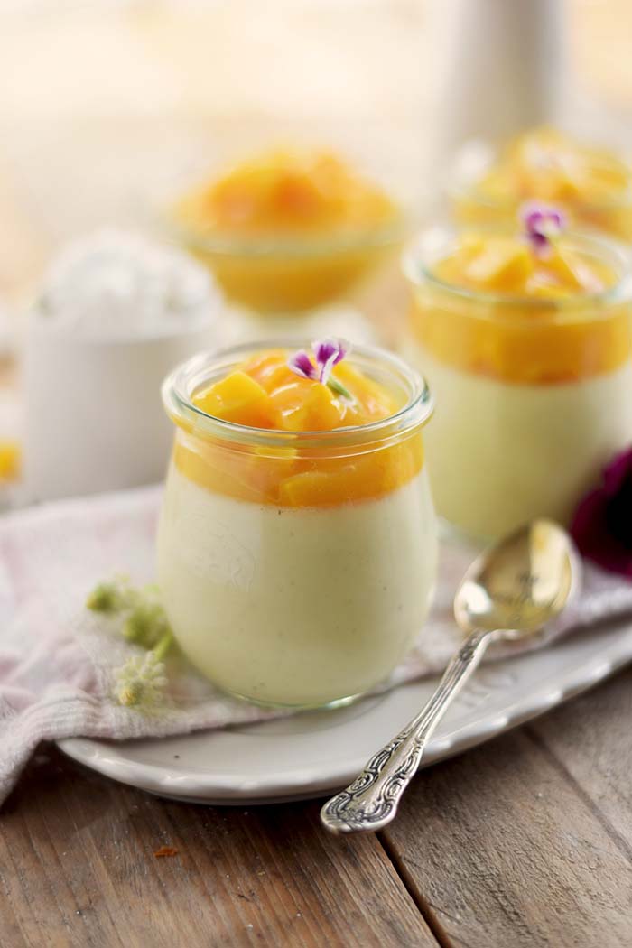Joghurt Panna Cotta mit Lieblingssaft und Mango Salat - Yogurt Panna Cotta with Mango Salad (20)