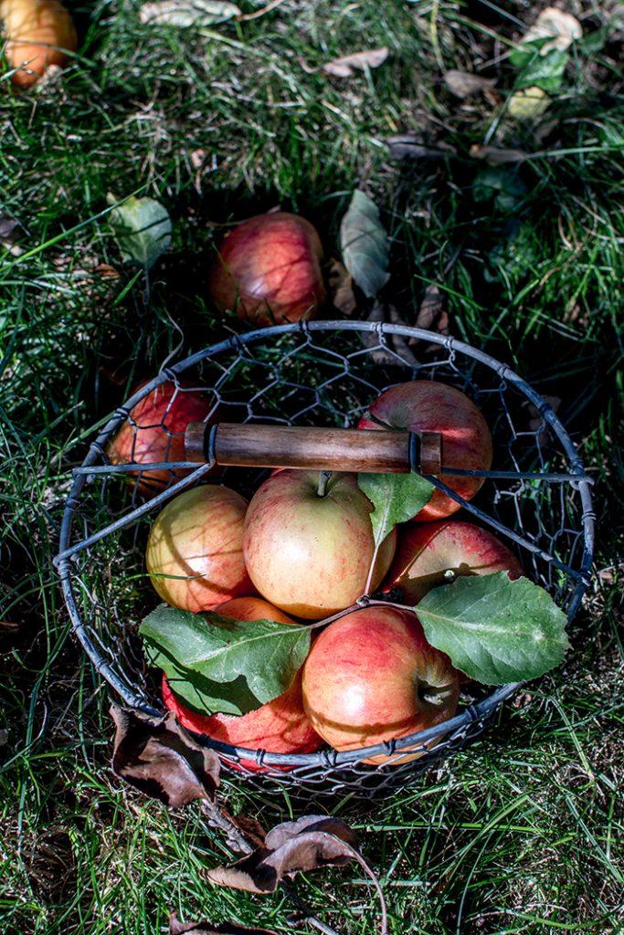 Apfelstrudel mit Birnen und Pekannüssen &amp; eine EDEKA Buchverlosung ⋆ ...