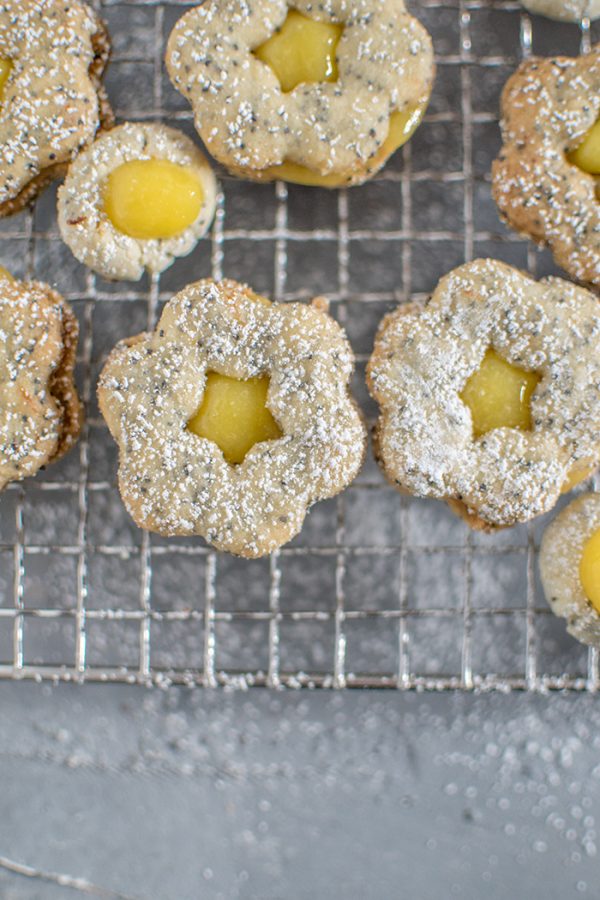 Tannenbaum Plätzchen aus Mürbeteig mit Kakao und Vanille und Kokos und ...